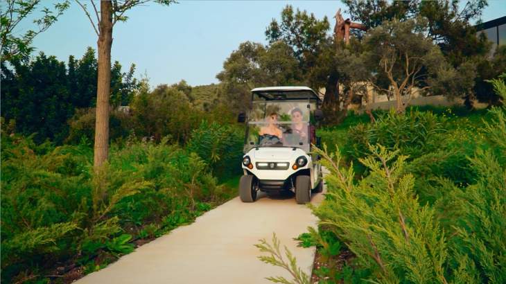 Highly Functional Electric Golf Carts